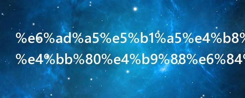 步履不停是什么意思