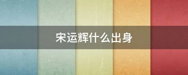 宋运辉什么出身