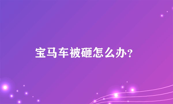 宝马车被砸怎么办？