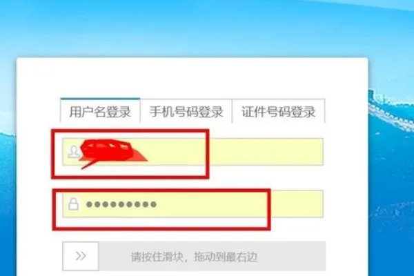 河北国税发票查询平台