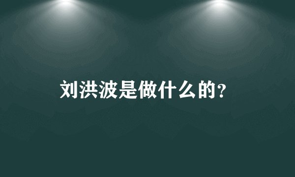 刘洪波是做什么的？