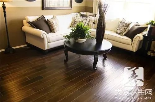 什么东西可以去甲醛呢