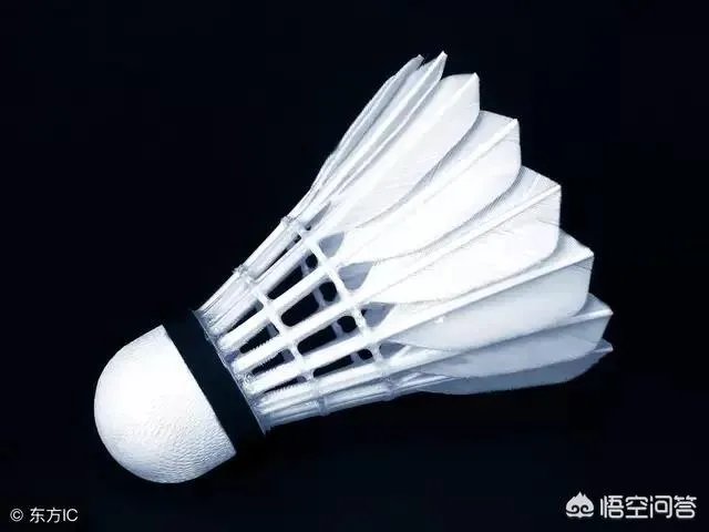 谌龙无缘四强，中国羽毛球单打全部失利，中羽的表现你们满意吗？