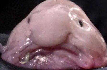 奇组词 什么的故事