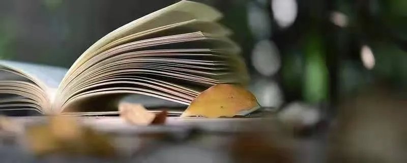 什么的锣鼓声填空