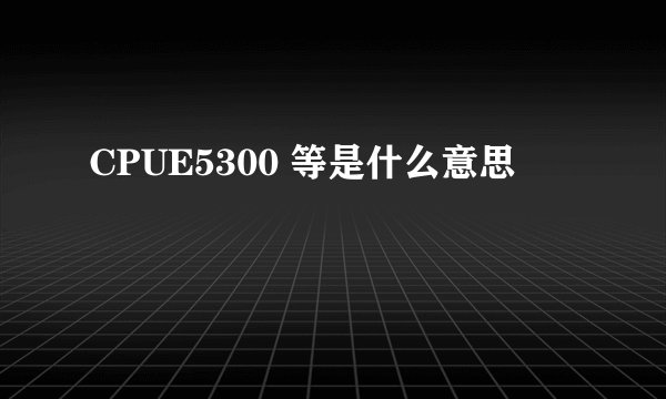 CPUE5300 等是什么意思