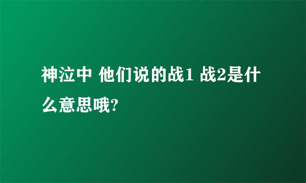 神泣中 他们说的战1 战2是什么意思哦?