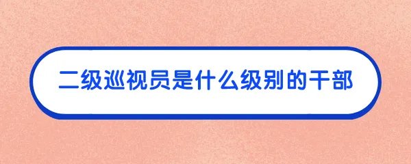 二级巡视员是什么级别的干部