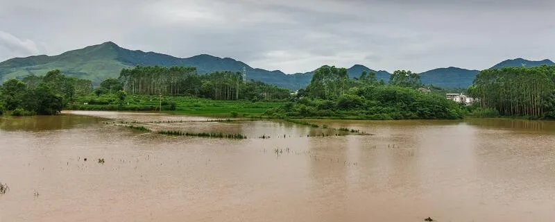 泥石流发生时应该往哪个方向跑